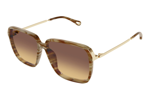 Ophthalmic Glasses Chloé CH0405S 004
