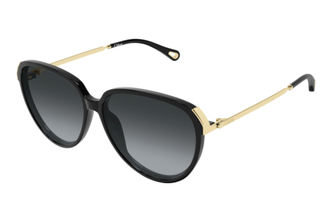 Ophthalmic Glasses Chloé CH0406S 001