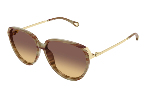 Ophthalmic Glasses Chloé CH0406S 004