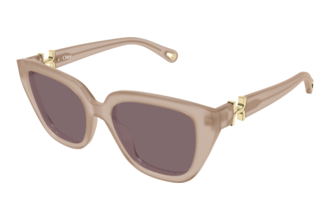 Ophthalmic Glasses Chloé CH0410S 005
