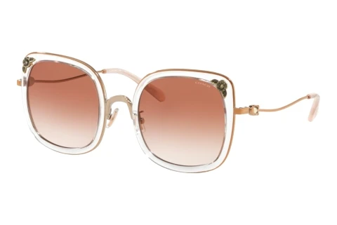 Ophthalmic Glasses Coach L1081 (HC7101B 933113)