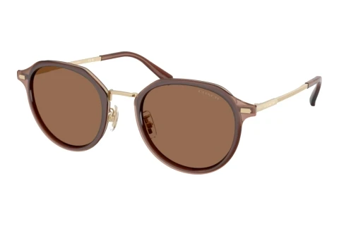 Solglasögon Coach CBZ97 (HC7183 947473)