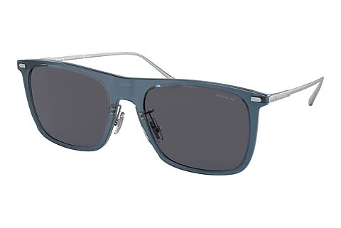 Saulesbrilles Coach CD456 (HC8356 520387)
