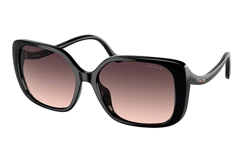 Aurinkolasit Coach CL929 (HC8376U 5002U8)