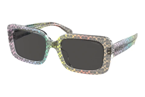 Solglasögon Coach CL922 (HC8380U 583587)