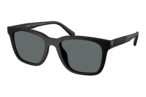 Saulesbrilles Coach CAD81 (HC8426U 500281)