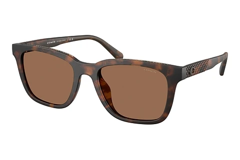 Saulesbrilles Coach CAD81 (HC8426U 512073)