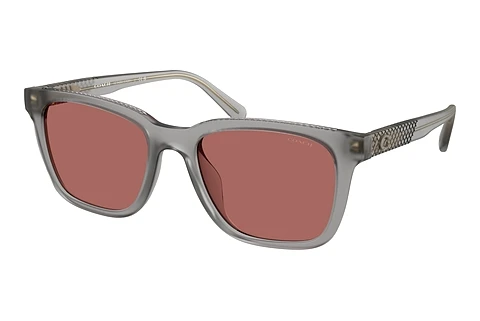 Saulesbrilles Coach CAD81 (HC8426U 58750H)