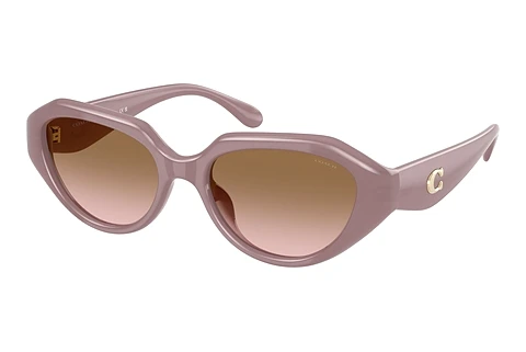 Ophthalmic Glasses Coach CBY77 (HC8433U 549511)