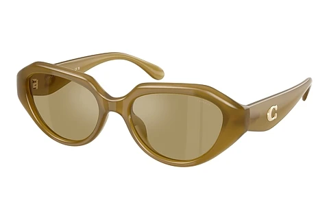 Ophthalmic Glasses Coach CBY77 (HC8433U 590230)