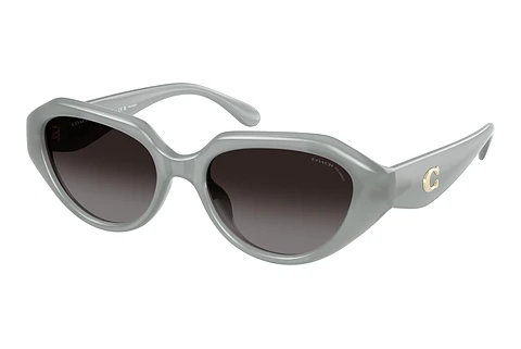 Ochelari de soare Coach CBY77 (HC8433U 5905T3)