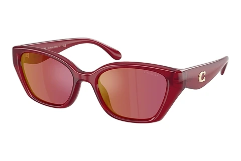 Ophthalmic Glasses Coach CBY91 (HC8434U 5526D0)