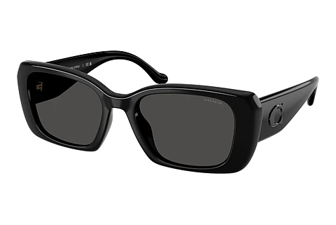 Γυαλιά ηλίου Coach CBY82 (HC8435U 500287)