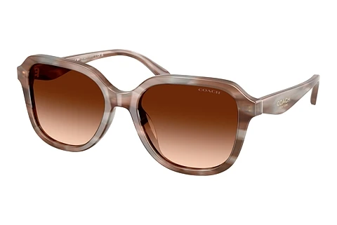 Ophthalmic Glasses Coach CBY87 (HC8437U 590174)