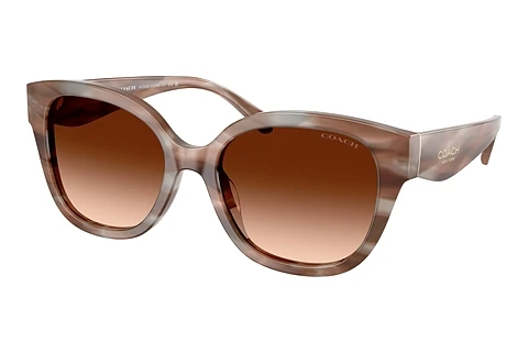 Ophthalmic Glasses Coach CBY94 (HC8438U 590174)