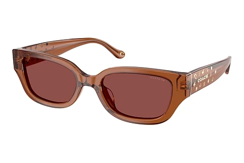 Aurinkolasit Coach CBZ52 (HC8439U 581175)