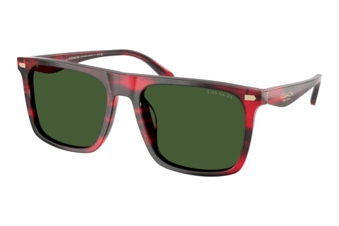 Slnečné okuliare Coach CBY95 (HC8440U 590871)