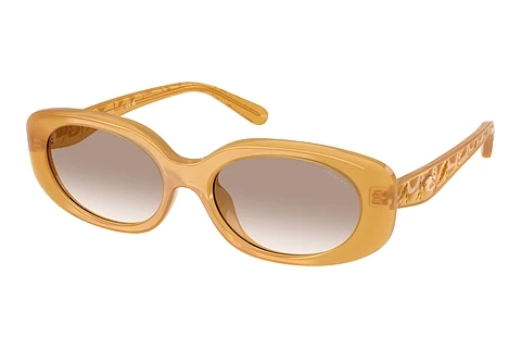 Sunčane naočale Coach CBY84 (HC8443D 591313)