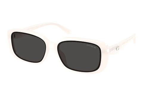 Ochelari de soare Coach CBY86 (HC8444D 579087)