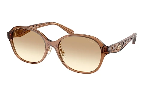 Ochelari de soare Coach CBY85 (HC8445D 565413)