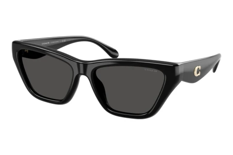 Gafas de visión Coach CDP33 (HC8449U 500287)