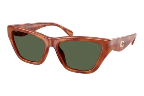 Gafas de visión Coach CDP33 (HC8449U 57749A)