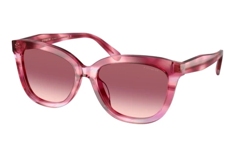 Ophthalmic Glasses Coach CDP53 (HC8453U 59417W)