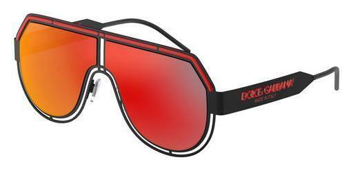 Sunglasses Dolce & Gabbana DG2231 11066Q