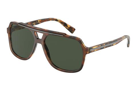 Sonnenbrille Dolce & Gabbana DG4388 31699A