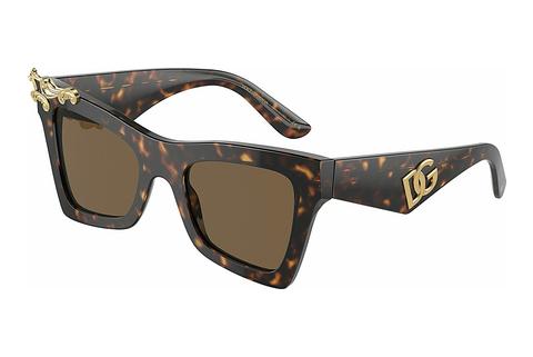 Solglasögon Dolce & Gabbana DG4434 502/73