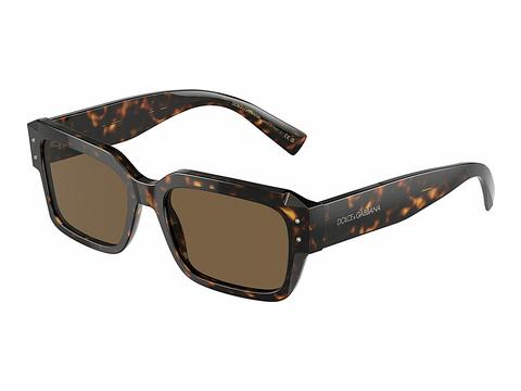 Solglasögon Dolce & Gabbana DG4460 502/73