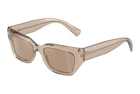 Sunglasses Dolce & Gabbana DG4462 34325A