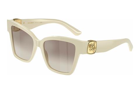 Solglasögon Dolce & Gabbana DG4470 331294