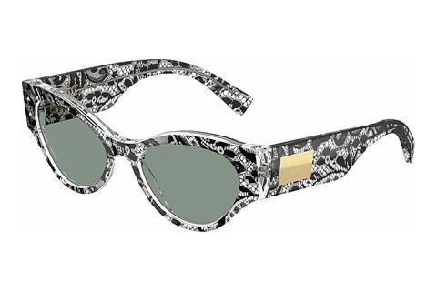 Sonnenbrille Dolce & Gabbana DG4480 3287/1