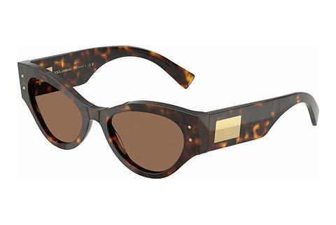 Lunettes de soleil Dolce & Gabbana DG4480 502/73