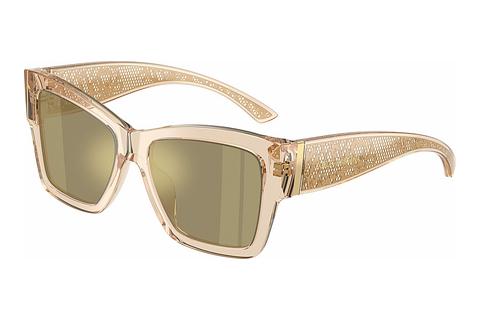 Lunettes de soleil Dolce & Gabbana DG4493 343203