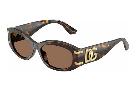 Lunettes de soleil Dolce & Gabbana DG4502 502/73