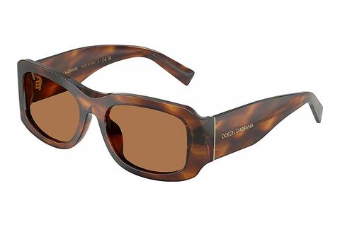 Lunettes de soleil Dolce & Gabbana DG4503 306373