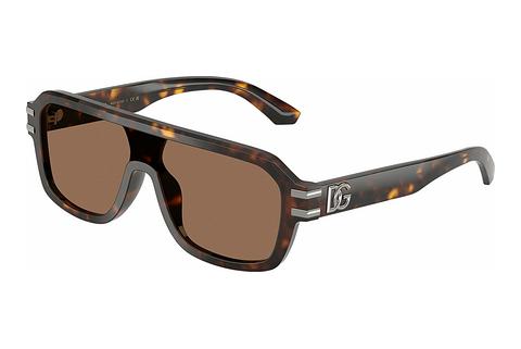 Lunettes de soleil Dolce & Gabbana DG4507 502/73