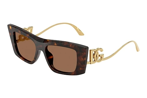 Akiniai nuo saulės Dolce & Gabbana DG4510 502/73
