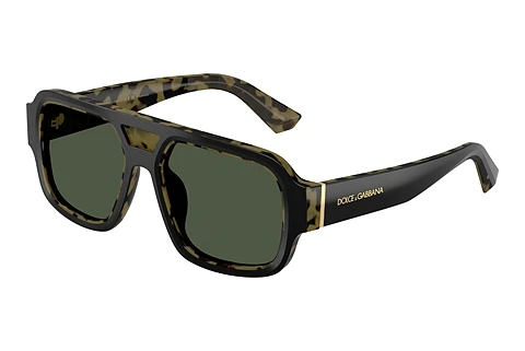 Saulesbrilles Dolce & Gabbana DG4516 34049A