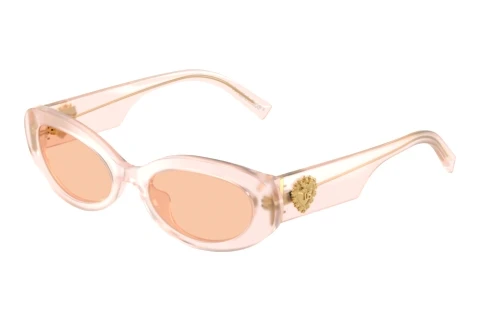Zonnebril Dolce & Gabbana DG4537 304173