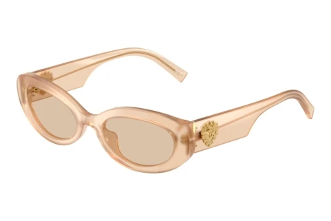 Zonnebril Dolce & Gabbana DG4537 308993