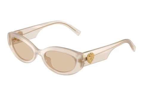 Zonnebril Dolce & Gabbana DG4537 342093