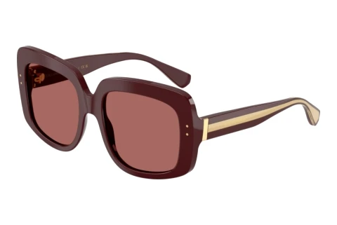 Dolce & Gabbana DG4557 309169 Napszemüveg