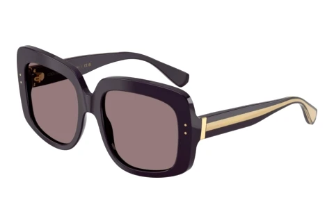 Dolce & Gabbana DG4557 35017N Napszemüveg