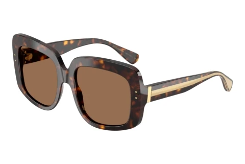 Dolce & Gabbana DG4557 502/73 Napszemüveg