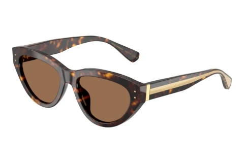 Aurinkolasit Dolce & Gabbana DG4558 502/73