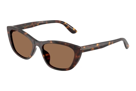 Ophthalmic Glasses Dolce & Gabbana DG4571 502/73