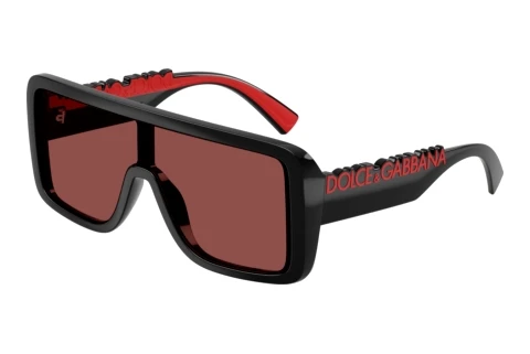 Solglasögon Dolce & Gabbana DG6204 501/75